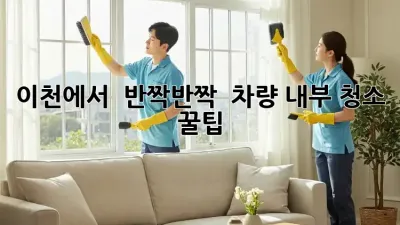 이천에서 ✨ 반짝반짝 ✨ 차량 내부 청소 꿀팁!