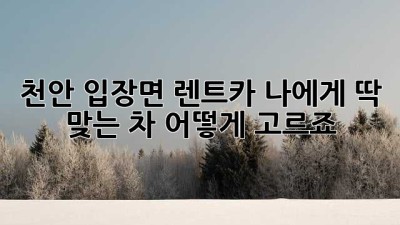 천안 입장면 렌트카: 나에게 딱 맞는 차, 어떻게 고르죠?