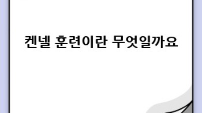 강아지 켄넬 훈련 완벽 가이드