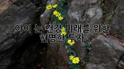 아이 눈 건강, 미래를 위한 현명한 투자
